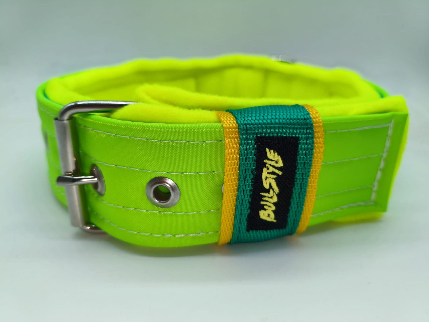 Collar Personalizado Flúor para Perro — Máxima Visibilidad y Estilo