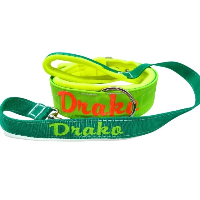 Conjunto Collar y Correa Personalizado Flúor para Perro