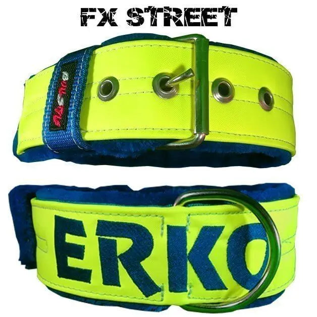 Collar para perro de 50 mm en amarillo flúor con forro polar azul y bordado personalizado en azul, fabricado en nylon polipropileno.
