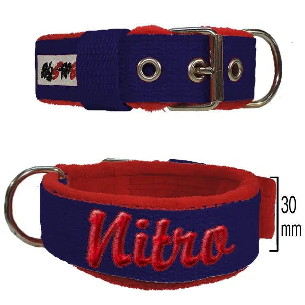 Collar Bull Style Street Line de 30 mm en azul con forro y bordado rojo, ideal para perros pequeños y medianos