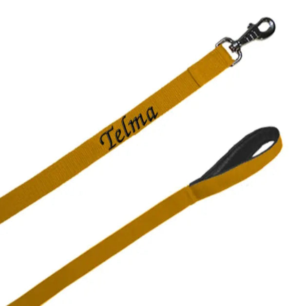 Correa personalizada Street Leash 90cm para perros, nylon resistente, con asa cómoda de forro polar o cuero, y mosquetón metálico de alta calidad