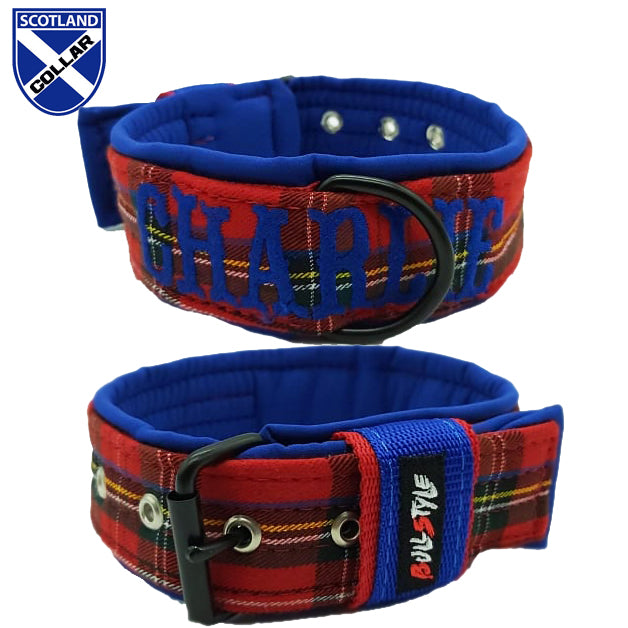 COLLAR ESCOCES FORRO AZUL 40MM