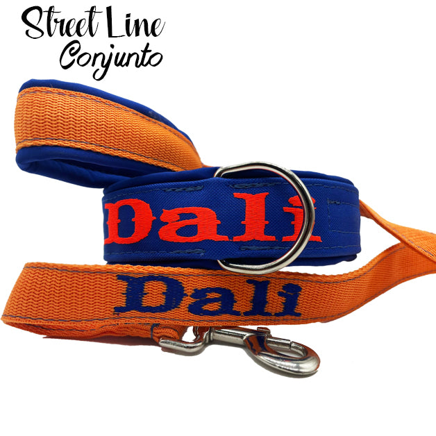 Collar y correa personalizados para perros. Descubre el conjunto street line neoshell para tu perro y dale un collar resistente, con estilo y cómodo diseñado para su total bienestar
