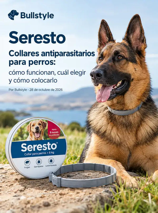 Collares antiparasitarios para perros: cómo funcionan, cuál elegir y cómo colocarlo