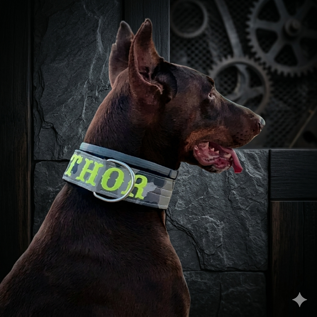 Collares Militares – Resistencia y Estilo