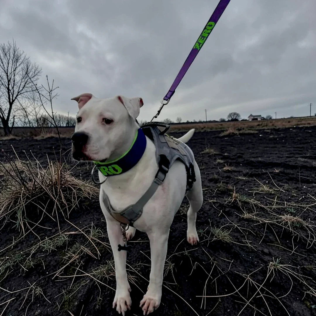 CONJUNTOS TÁCTICOS (10% AHORRO)