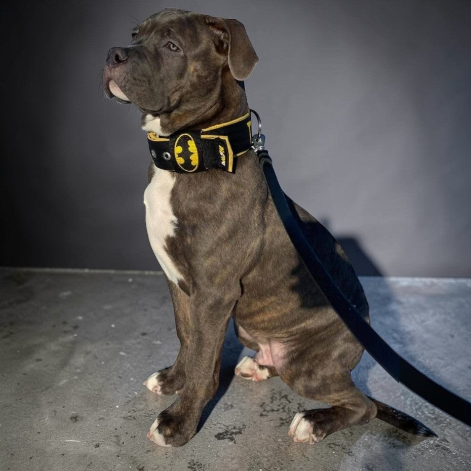 Collares Super Héroes – Personalizados y Resistentes