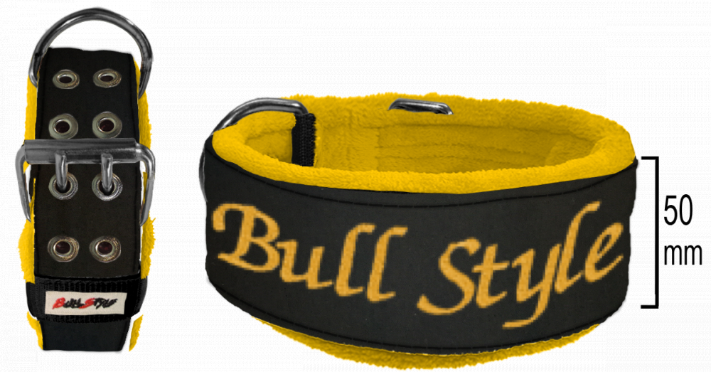 Collar personalizable NEOSTYLE 50mm desde: