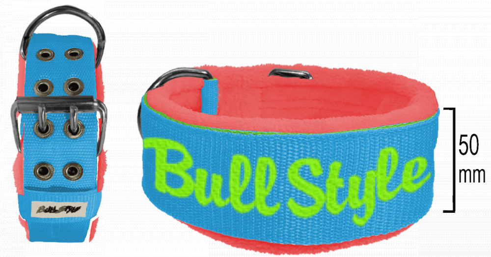 Collar personalizable KENNEL LINE 50mm desde: