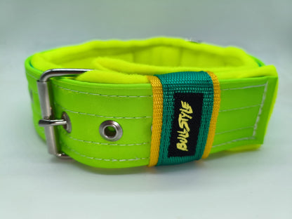 Collar Personalizado Flúor para Perro — Máxima Visibilidad y Estilo