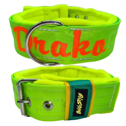 Collar Personalizado Flúor para Perro — Máxima Visibilidad y Estilo