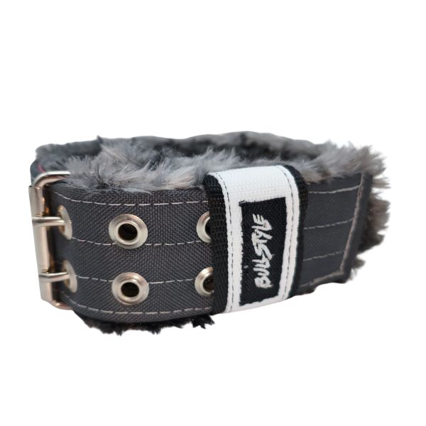 Collar para perros 3D Edición limitada