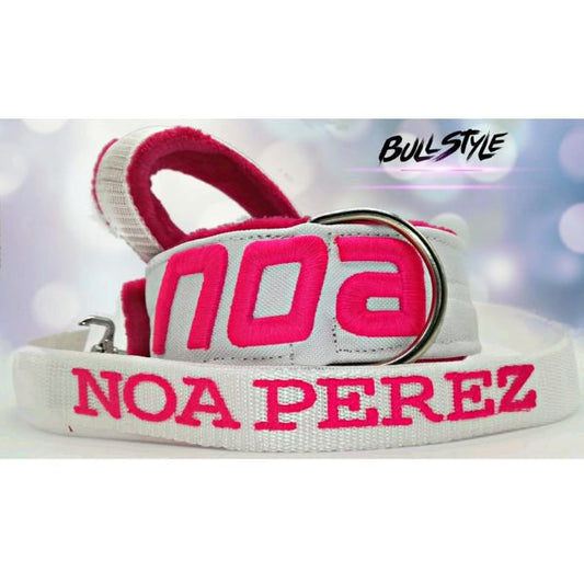 Conjunto 3D – Collar y correa personalizados