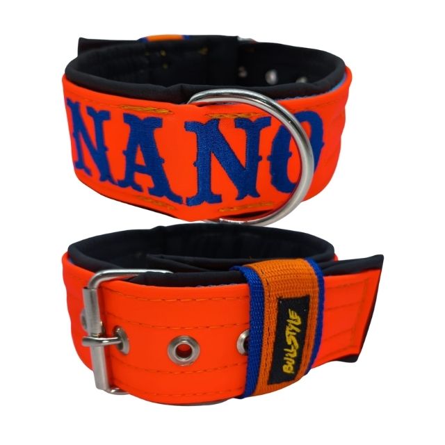 Collar para Perros Neón Naranja Personalizado con Nombre Bordado