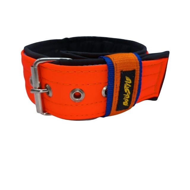 Collar Personalizado Naranja Neón para Perro con Nombre Bordado | Bullstyle