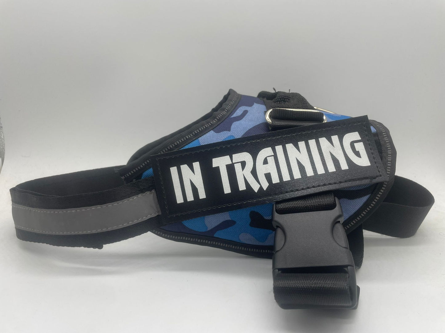 ARNÉS DE PASEO  IN TRAIN