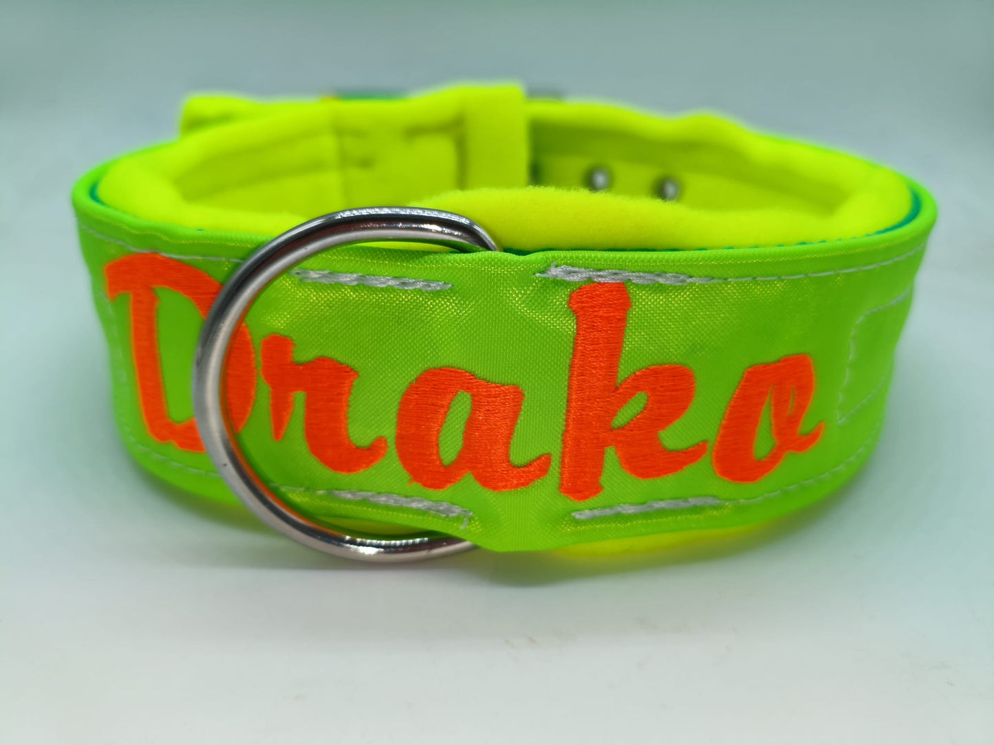 Collar Personalizado Flúor para Perro — Máxima Visibilidad y Estilo