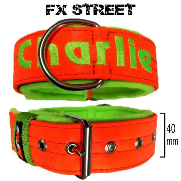 Collar FX Street de Bull Style en naranja flúor con bordado verde flúor, para perro mediano o grande, resistente y con forro polar interior
