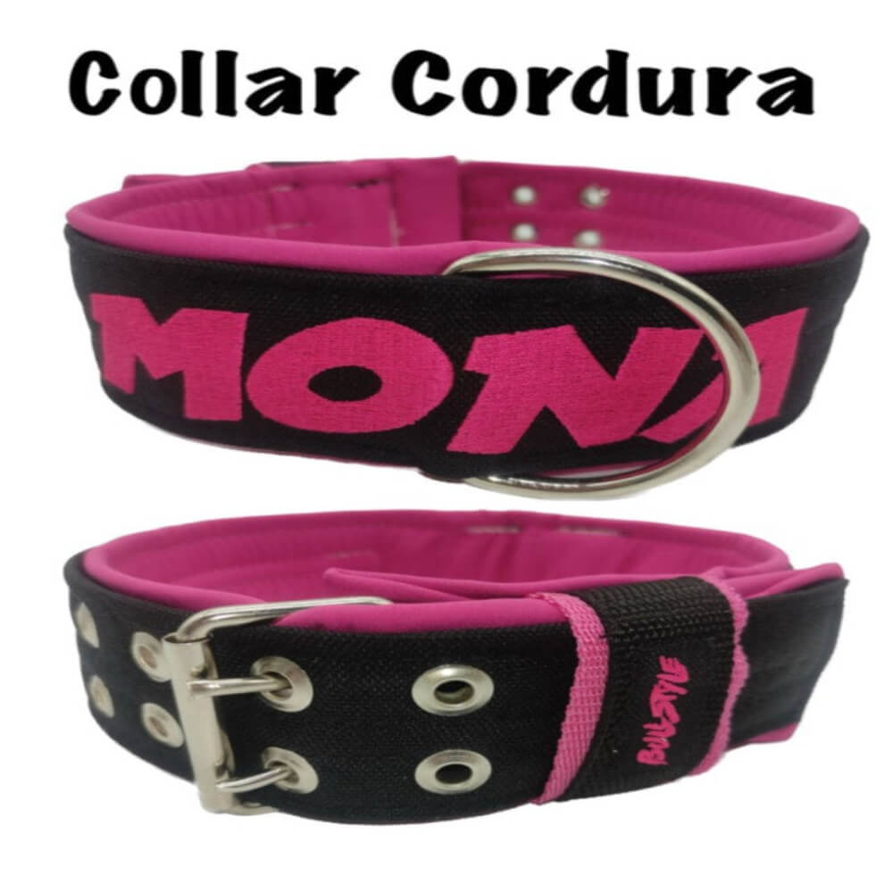 Collar de Cordura de alta resistencia para perro de Bullstyles en 50mm, con hebilla de seguridad reforzada y nombre bordado personalizado