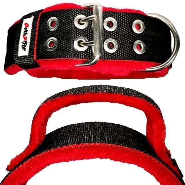 Collar personalizable INTER KENNEL 50mm para perros, resistente y ajustable, ideal para razas medianas y grandes
