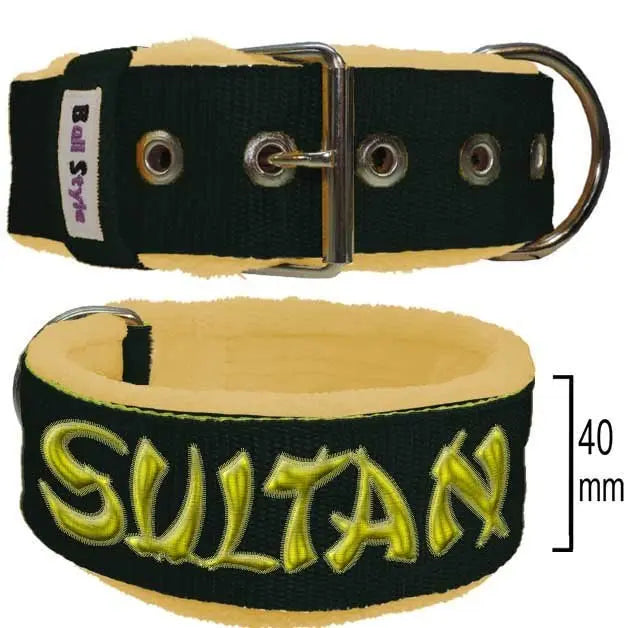Collar para perro Bull Style Street Line Polar, 40 mm, en azul cielo con forro crema y bordado dorado, ideal para razas medianas


