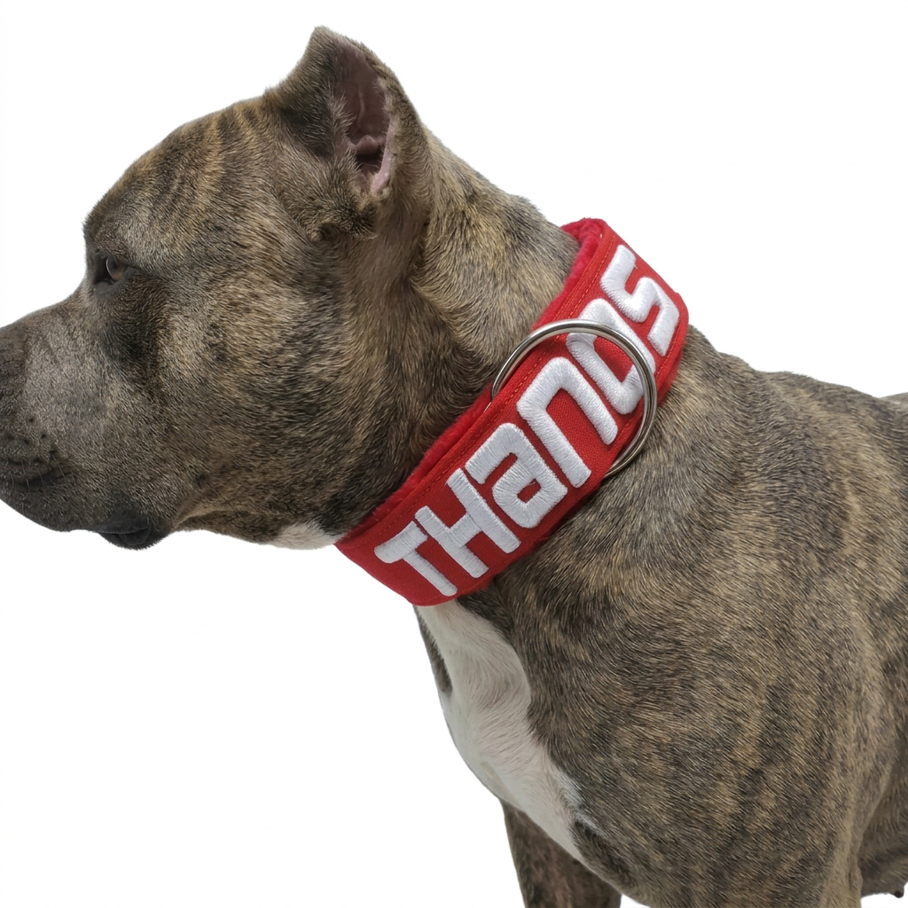 Collar 3D LINE RED