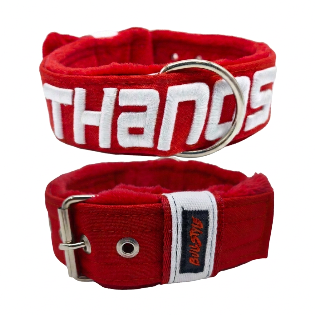 Collar 3D LINE RED