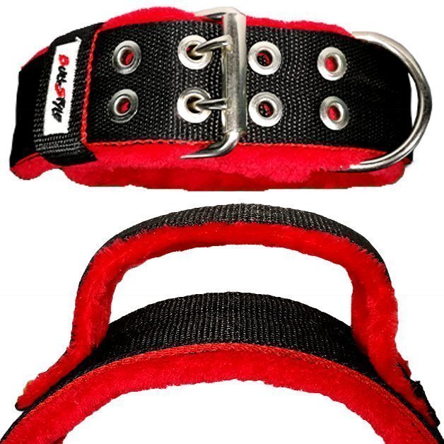 Collar personalizable INTER KENNEL 50mm desde: