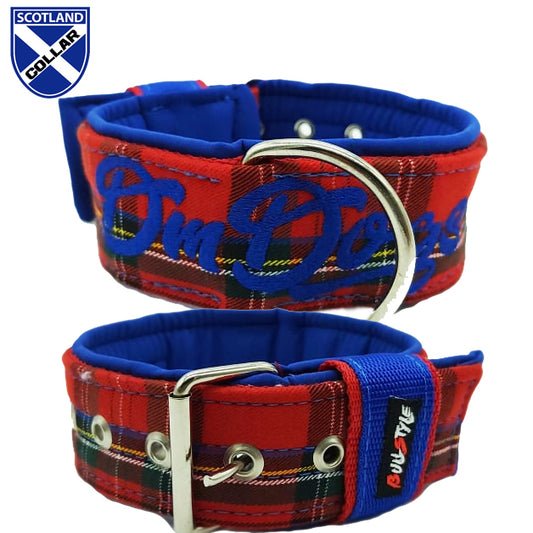Collar escocés Bullstyles en azul y rojo disponible en 40mm y 50mm con estructura reforzada y personalización de alta densidad